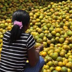 Ernährung sichern in der dritten Welt Ernährung sichern in der dritten Welt